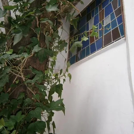 Albucasis Szálloda Córdoba