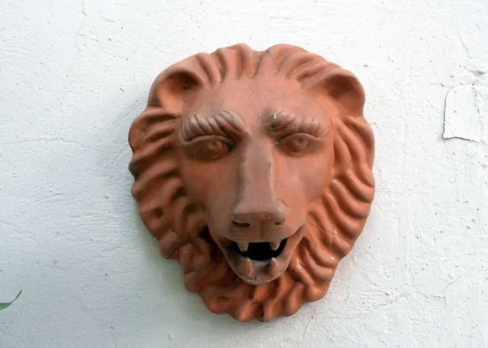 Albucasis Кордова