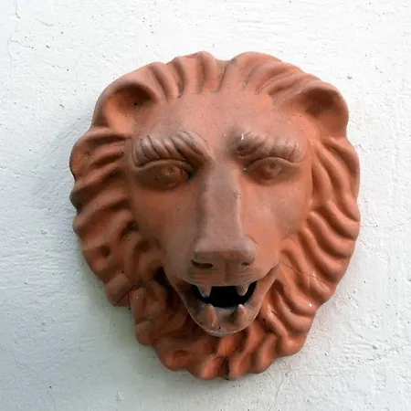 Albucasis Кордова