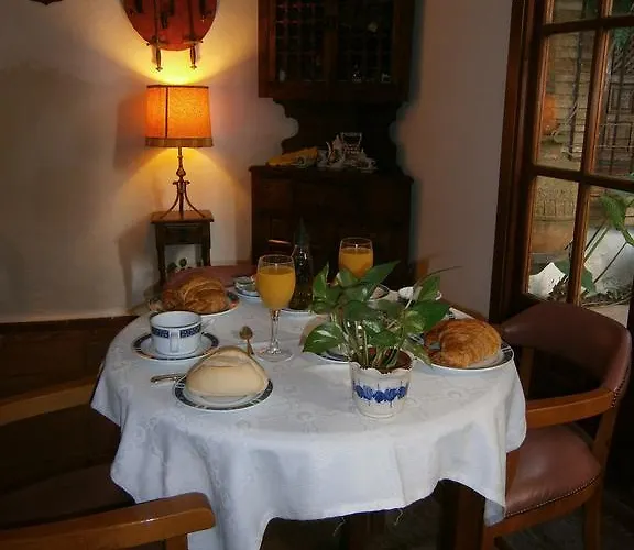 Albucasis 科爾多瓦