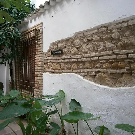 Albucasis 2*