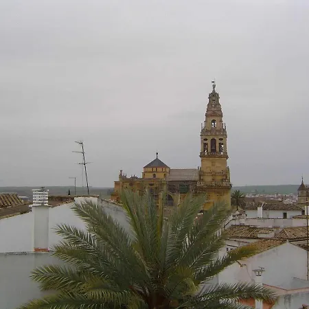 Albucasis 2*