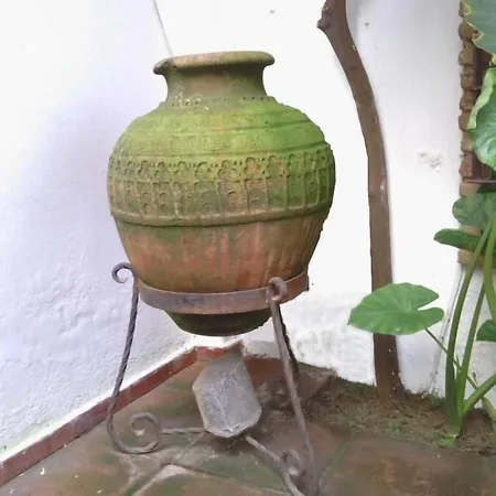 Albucasis