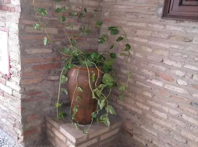 Albucasis Hotel Cordova